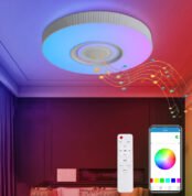 Remote And App Controlled Ceiling Light