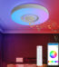 Remote And App Controlled Ceiling Light