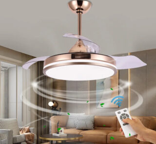Led Ceiling Light With Fan